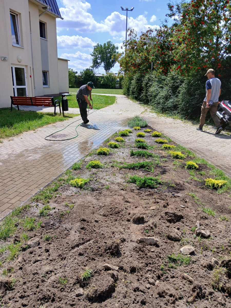 osoba podlewa rośliny