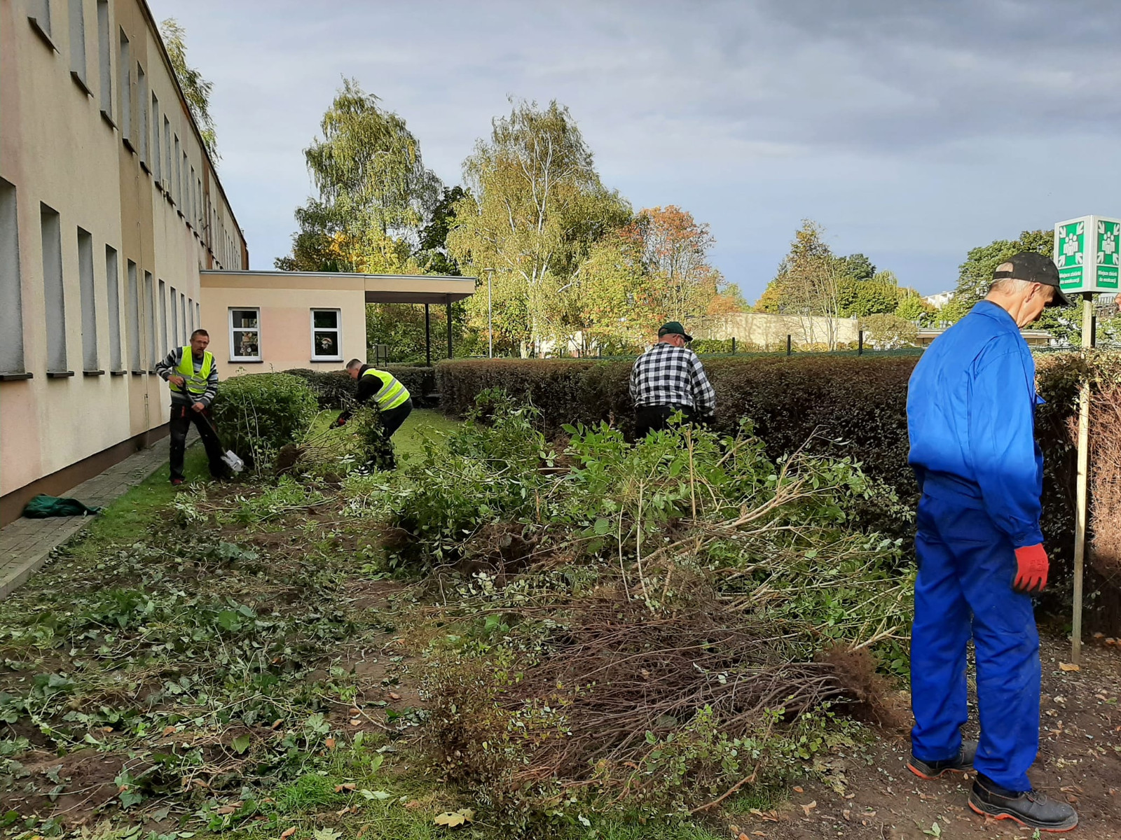 Kilka osób pracujących nad przycinaniem roślin przy budynku. Widoczne są krzewy oraz duża ilość odpadów roślinnych